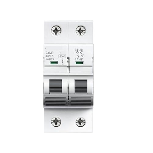 Mini disjoncteur AC GYM9 bipolaire 10A pour la protection des lignes