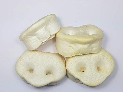 Schweinenasen 25 Stück. gepuffte Honignasen, wie Schweineohren, Kausnack