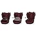 CBX by Cybex Kinder-Autositz Pallas B3 i-Size, ISOFIX und Top-Tether, Ab ca. 9-50 kg, Ab ca. 15 Monate bis 12 Jahre, UN R129/04, Rot