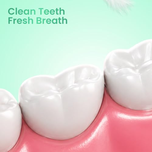 Image of Enshine Advance Clean+ Soft Toothbrush for Adults - Pack of 4 | Ultra Soft Tapered PBT Bristles | Tooth Brush Set with Non-Slip Grip | Manual Toothbrushes for Sensitive Gums & Enamel | Sea Green Color