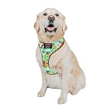 Sassy Woof Dog Adjustable Harness - Scooby-Doo™ - XL, Breathable Mesh, No Pull Design with Two D-Rings, Patented Design, Perfect for Extra Large Dogs - Officially Licensed