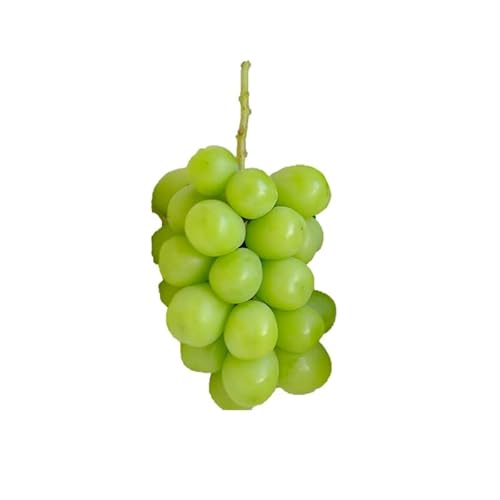 [来年(2026年/令和8年)発送[先行予約]] シャインマスカット 2.0kg相当 先行予約 先行 予約 国産 贈答 お取り寄せ 山梨県産 フルーツ 果物 くだもの ぶどう ブドウ 葡萄 シャイン シャインマスカット 新鮮 糖度18〜20度 山梨県 甲斐市