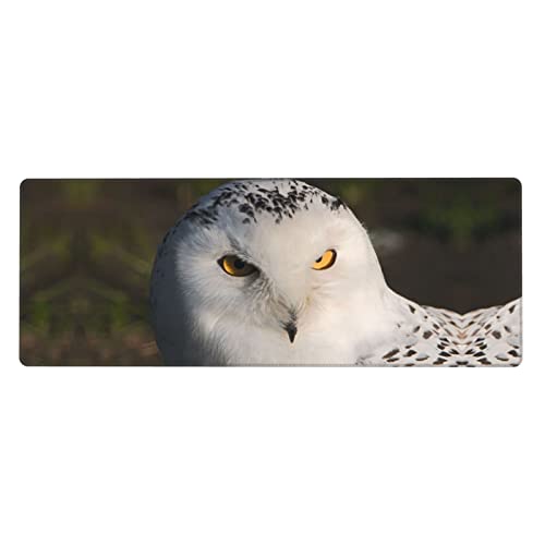 Tapis de souris de jeu hibou enneigé pour éliminer le manque d'espace sur le bureau