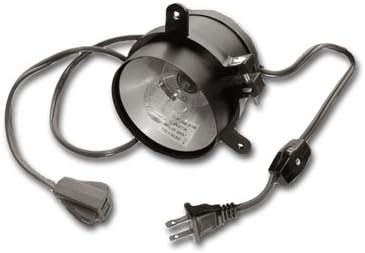 Specialty Lighting Incandescent Light w/Adjustable Mounting Ring
