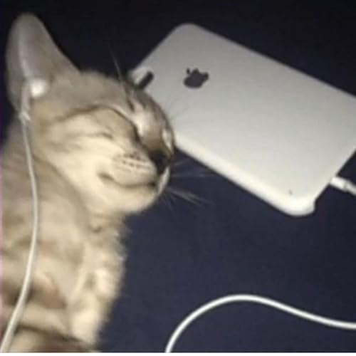 Couverture de songs i want on spotify