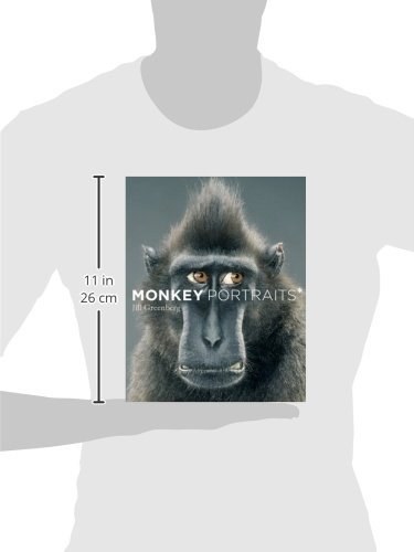 Monkey Portraits