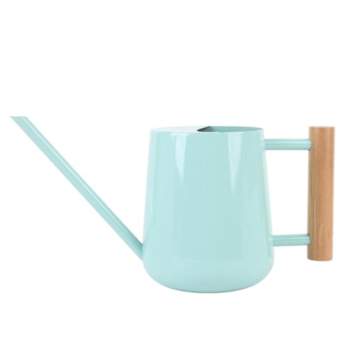 Lata de Riego de Plantas, Lata de Riego de Acero Inoxidable Multifuncional para Plantas de Interior, Agua de Picos Larga con Mango Ergonómico de Madera para Plantas de Casa (Tipo