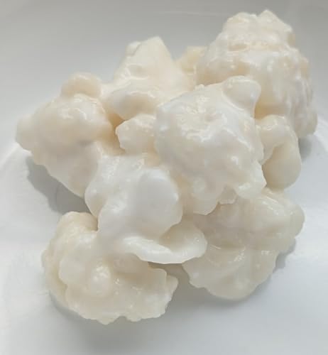 POSEYMOM Milk Kefir Grains
