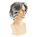 Wiwige Grey Wig for Men Short Layered Fluffy Wig Mix Gray Natural Looking Synthetic Daily Costume Halloween Wigs