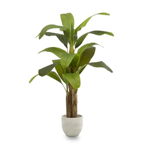 Maia Shop Platanera Artificial de 150 cm de Altura para Decoración de Hogar y Oficina, Árbol, Planta Artificial Decorativa Hiperrealista con Tronco Natural
