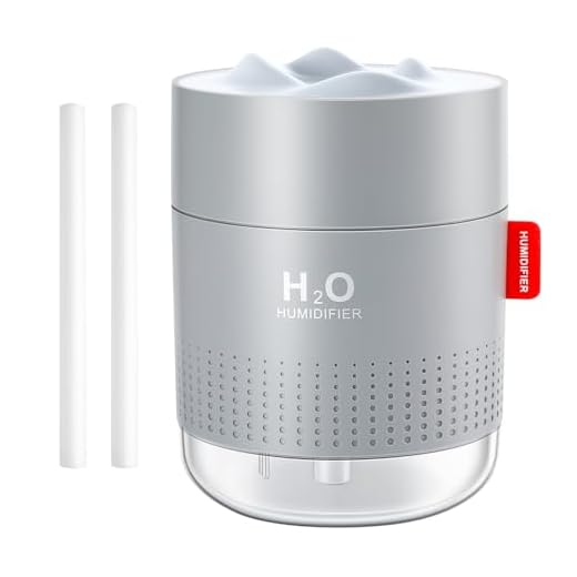 Luftbefeuchter Schlafzimmer, Vintoney 500ML USB Raumbefeuchter Humidifier Kinderzimmer Pflanzen Humidifiers Luftfeuchter Air Ultraschall Leise Tragbarer Mini für Haus Yoga Büro+2 Filter
