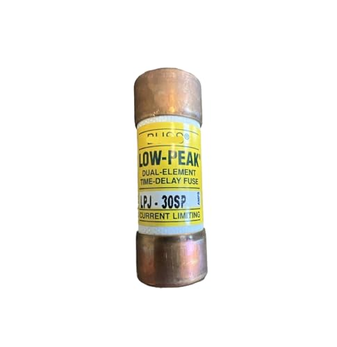 Fusible temporisé 30 A 600V LPJ-30SP Classe J double élément pour armoire électrique et moteur