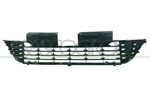 Prasco CI4242120 Alerón Delantero de Rejilla