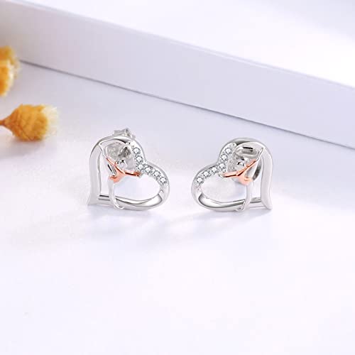 925 Sterling Silver Gymnastics Stud Earrings: Heart Gymnastics Gifts for Women Round Crystal Gymnast Stud Earrings Fashion Jewelry Gift for Daughter Niece4