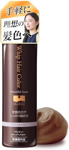 yV[Y݌v311{˔jz\jeB[ zCbv wAJ[  AJ[     A fB[X Y B (i`ubN) 80g×1