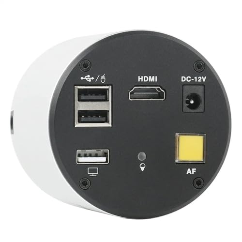Lbg J HDMI 1080P 60FPS USB Type-C IMX307 YƗpI[gtH[JXrfIJ YA_v^[
