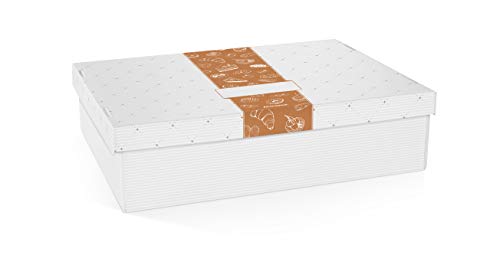 Tescoma Delícia Cake Box, White, 40 x 30 cm