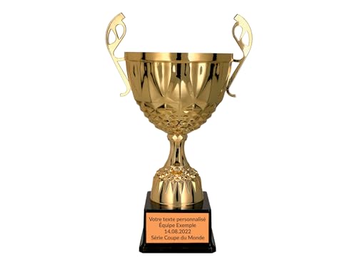 Trophée en métal doré argenté Larius coupe de récompense sportive avec gravure