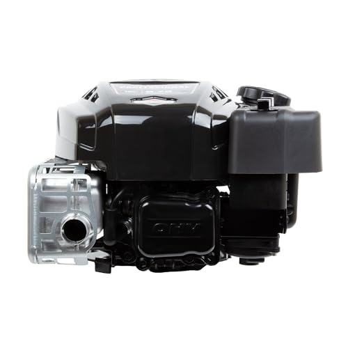 Briggs & Stratton 875 Professional Series Engine, Black