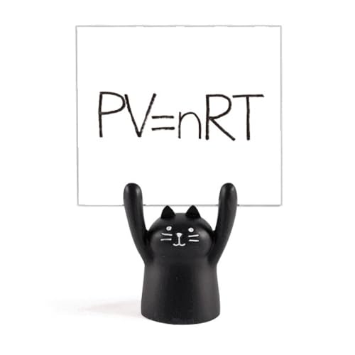 w̒mzĈ̏ԕ J[gD[LX^h^z_[