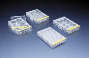 48 Well Tissue Culture Plate
