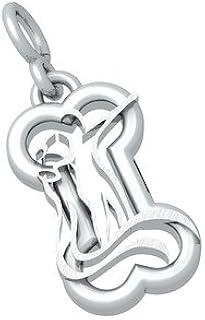 Bark Avenue Jewelers- Sterling Silver Zodiac Pendant- Aquarius- Large
