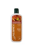 Conditioner für trockenes + blondiertes & gesträhntes Haar