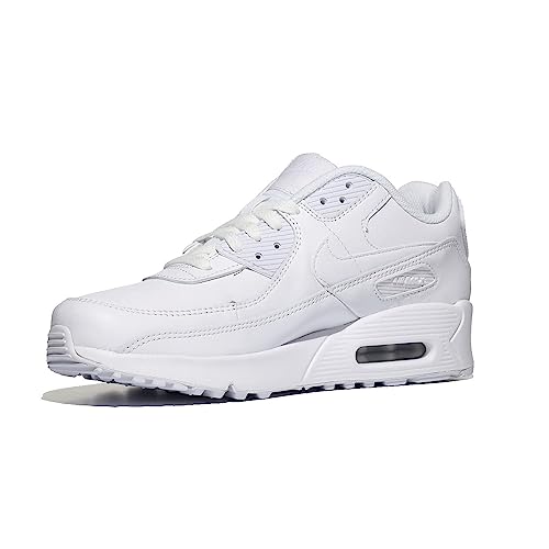 Nike Air Max 90 LTR (Big Kid)
