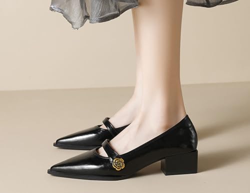 Mary Jane Shoes for Women Pointed Toe Chunky Low Heels Vintage Pumps Dress Shoes Adjustable Strap for Work Wedding Office Casual4