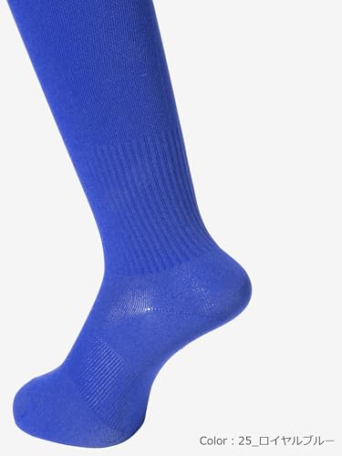 カンタベリー ストッキング ジュニア 2ライン JR.2LINE STOCKINGS 19_ブラック