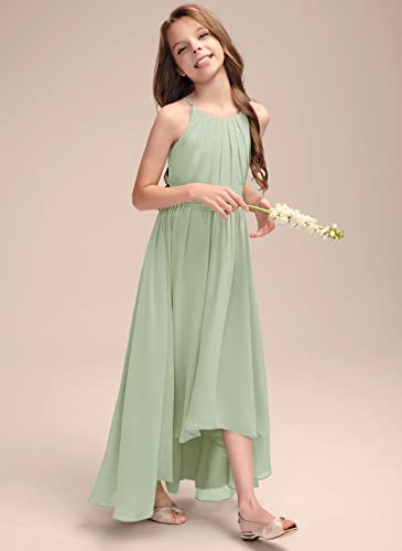 A-Line Halter Asymmetrical Chiffon Junior Bridesmaid Dress Flower Girl Dress for Wedding Party Dress4