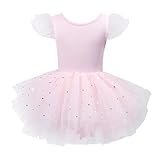 LYZOURBB Baby Girls Ruffle Sleeve Ballet Dress Kids Crossed-back Shiny Tulle Ballet Leotard Ballerina Costume Dress for Dance Girls 1-6 Years