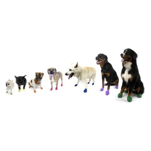 Pawz Dog Boots XS,12 Pack, Black Cover