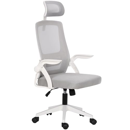 Altaudia Silla de Escritorio y Oficina de Trabajo - Ergonómica Ajustable y Reclinable -...
