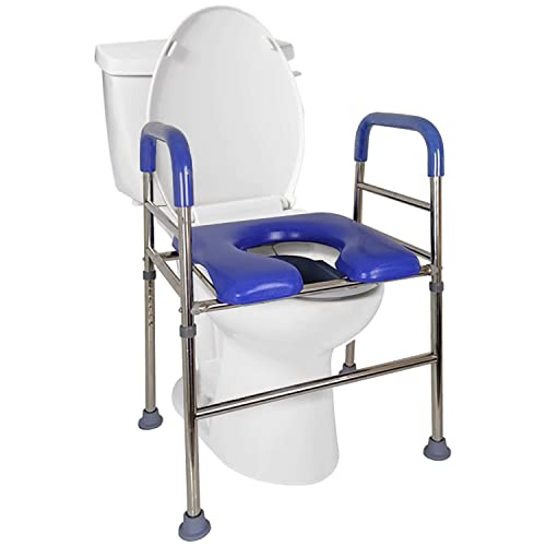 Our Best Toilet Seat Riser With Handles [Top 10 Picks] D and T Custom