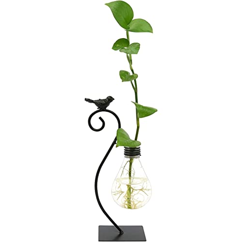 JeeDaar hydroponic Bird Iron Art Stand Desktop Decor, Flower Planter Terrarium with Glass Light Bulb, vase with Propagation Station. Ideal for Home or Office, 25x8x8 cm, JD-115 Cover