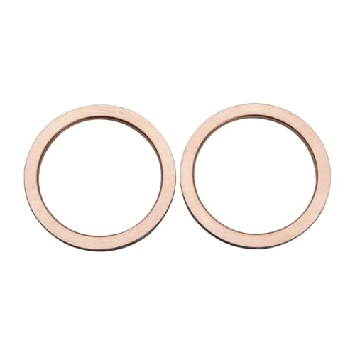 オートバイ用パイプガスケット YZFR1 YZF-R1 R1M 2015-2023 R1S 16-18 FZ10 16-17 MT-10 MT10 2016-2023 に適合(2 pcs)