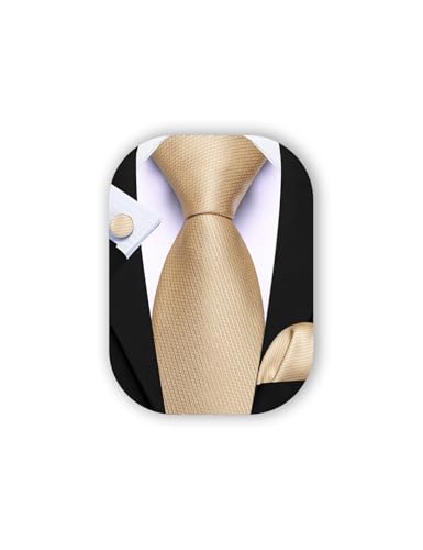 Barry.Wang Beige Tie Mens Silk Champagne Necktie Pocket Square Cufflinks Set Wedding Formal