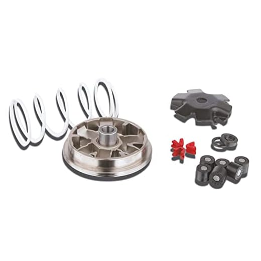 Variomatik MALOSSI Muvar PEUT Speedfight 2 50 LC (2-Takt) Typ:S1