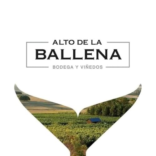 PABLO RICCARDI - ALTO DE LA BALLENA (MALDONADO, URUGUAY)