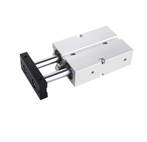 Cylindre TN10 double arbre résistant aux torsions pour montage robotique