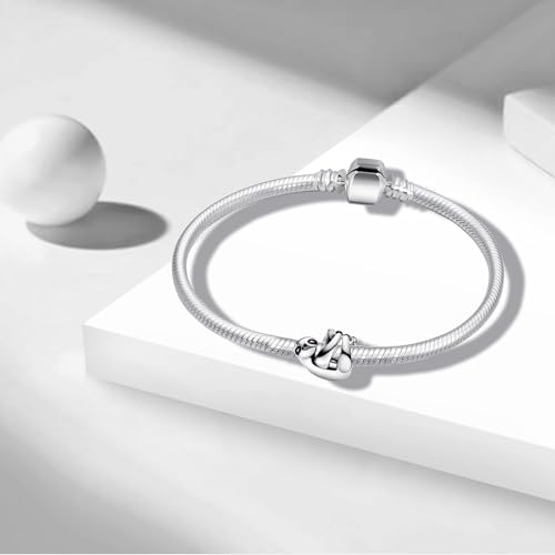 Charms Beads 925 Sterling Silver Animal Leaf Ocean Gold Travel Dangle Pendant with 5A Cubic fits for Charms Bracelets for Woman Mother's Day Christmas Birthday Gift3