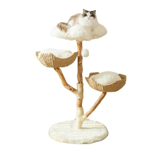 Arbre à Chat en Bois Massif 113cm – Élégant, Robuste, Stable – Design Naturel pour Grand Chat Maine Coon