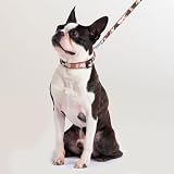 ペティオ (Petio) Ethical Door エシカルドア 迷彩リード レッド 犬 S サイズ
