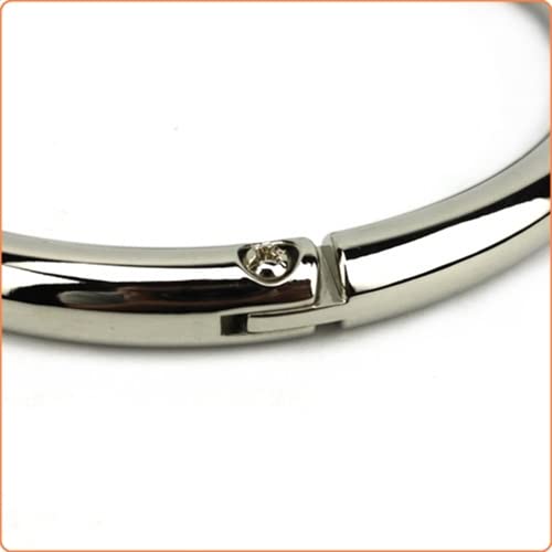Bondage Masters Collier BDSM verrouillable en acier avec anneau torique