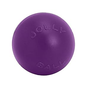   Jolly-Pets-Push-n-Play-Ball-Dog-Toy-14-InchesExtra-Large-Red-All-Breed-Sizes