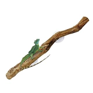 Naqqios branche en souche de vigne de 30 cm avec ventouse