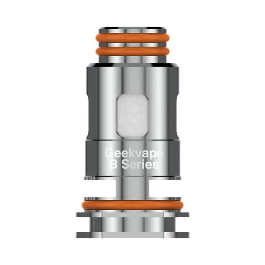 Geekvape B Series Coils 0.2ohm for Geekvape Z Nano 2 Tank/Geekvape M100 Kit/ Geekvape Z Nano Tank/Geekvape Aegis Hero/Geekvape Aegis Boost Plus/Geekvape  Aegis Boost,Geekvape Aegis Boost 3 Pod Kit : Amazon.fr: High-Tech