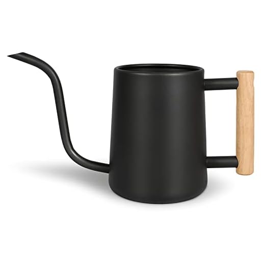 Watering Can for Indoor Plants, 35 oz/1000 ml Metal Stainless Steel Pot with Long Spout for House Plants Bonsai Outdoor Garden Flower Decorative (Black)