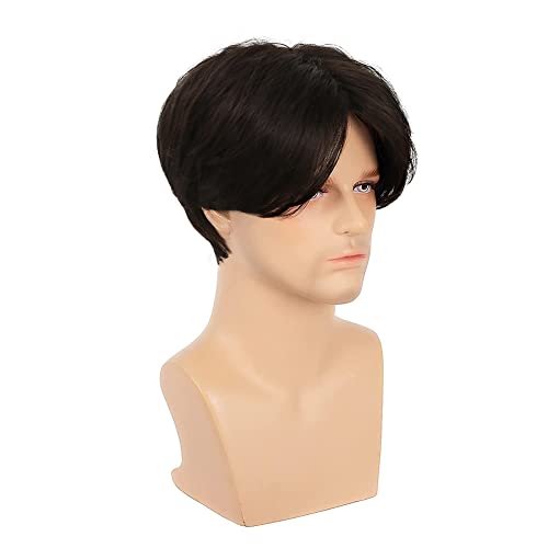 Image of Swiking Short Brown Wigs for Men Middle Part Natural Looking Synthetic Hair Wigs for Male Daily Party Replacement Wig (Brown)